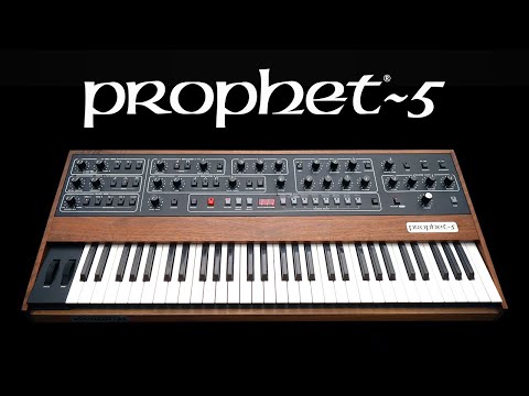 The hallowed and beloved Prophet-5 synthesizer.